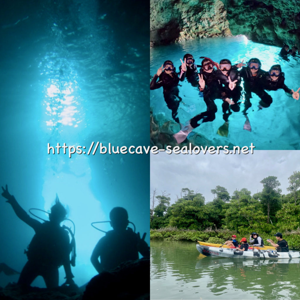 青の洞窟体験ダイビング、青の洞窟シュノーケリング、億首川マングローブカヤック