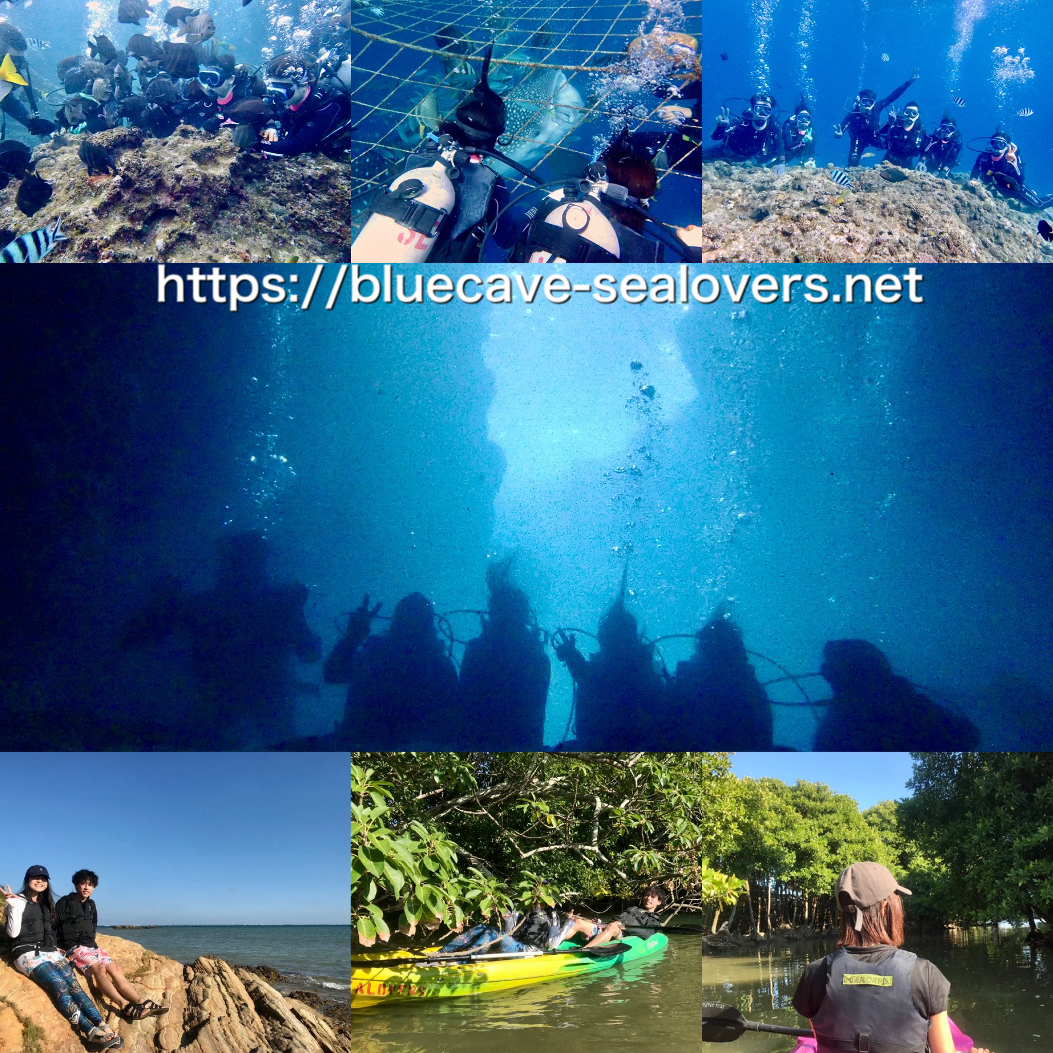 青の洞窟ボート体験ダイビング、ジンベイザメ観察体験ダイビング、億首川マングローブカヤック