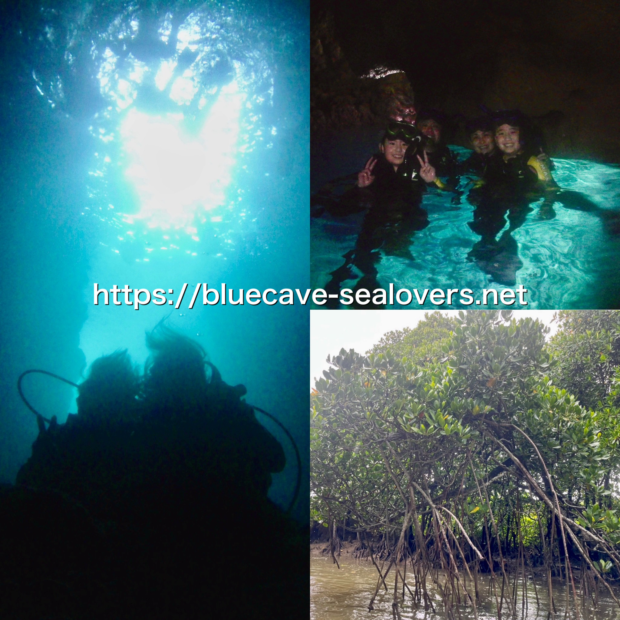 青の洞窟ボート体験ダイビング　青の洞窟ボートシュノーケリング　億首川マングローブカヤック